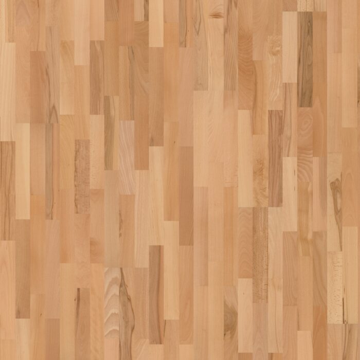 VP Parador Basic 11-5 Rustikal beech matt lacquer 3-plank shipsdeck 1518246