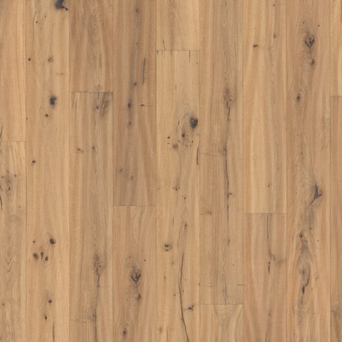 Engineered Wood Flooring Trendtime 8 Classic, Brushed Oak Nat.oilWhiteplu handscraped widepl V-groove, 1739959