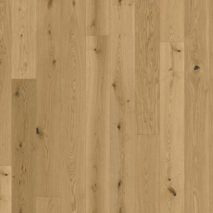 Engineered Wood Flooring Trendtime 4 Rustikal, Oak Lugana natural brushed text. naturaloil plus 1-strip widepl. microbev, 1748904