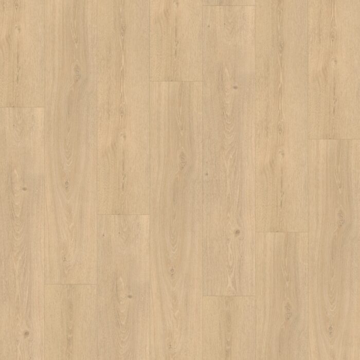Parador SPC Basic 5.3 Dub Studioline brúsený 1743008