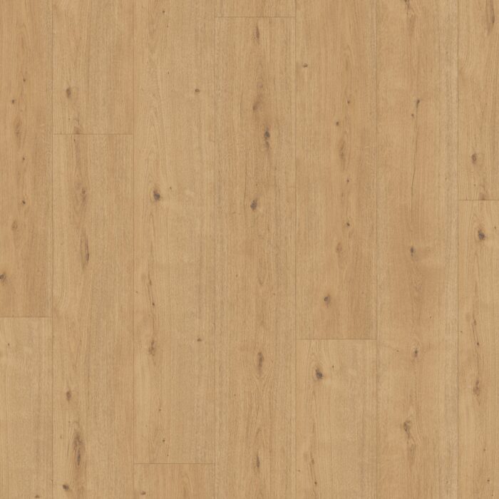 Parador Modular ONE Chateau plank Dub atmosphere natural authentic text. widepl microbev 1744556