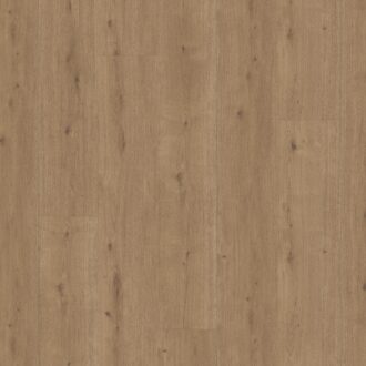 Parador Modular ONE Chateau plank Dub atmosphere umber authentic text. widepl microbev 1744557