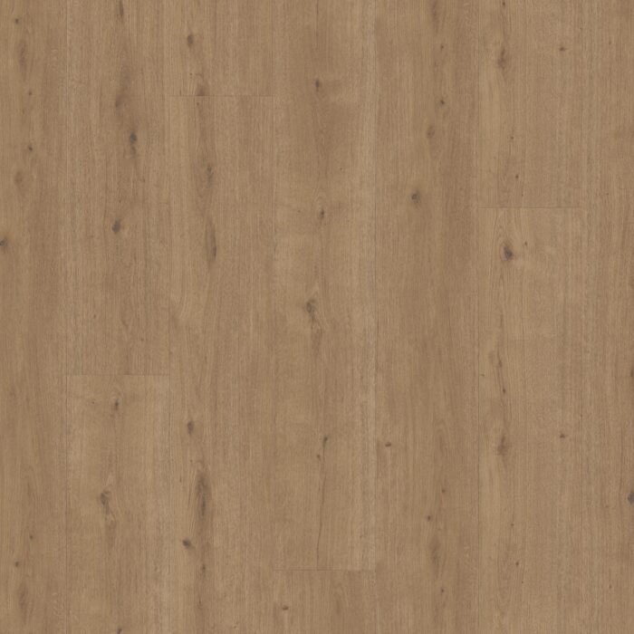 Parador Modular ONE Chateau plank Dub atmosphere umber authentic text. widepl microbev 1744557