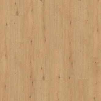 Parador Modular ONE Dub atmosphere natural authentic text. widepl microbev 1744545