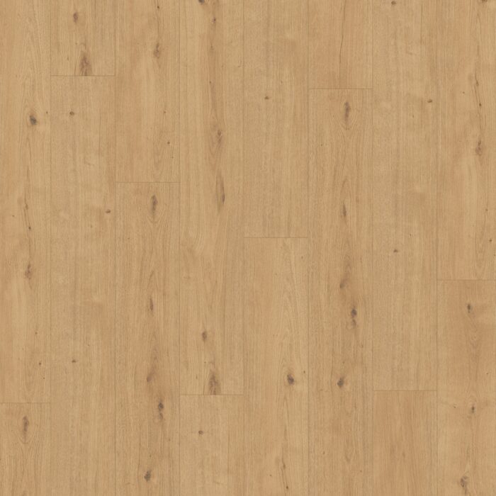 Parador Modular ONE Dub atmosphere natural authentic text. widepl microbev 1744545