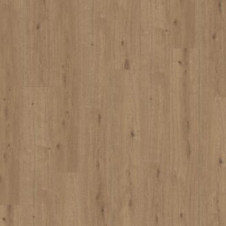 Parador Modular ONE Dub atmosphere umber authentic text. widepl microbev 1744546