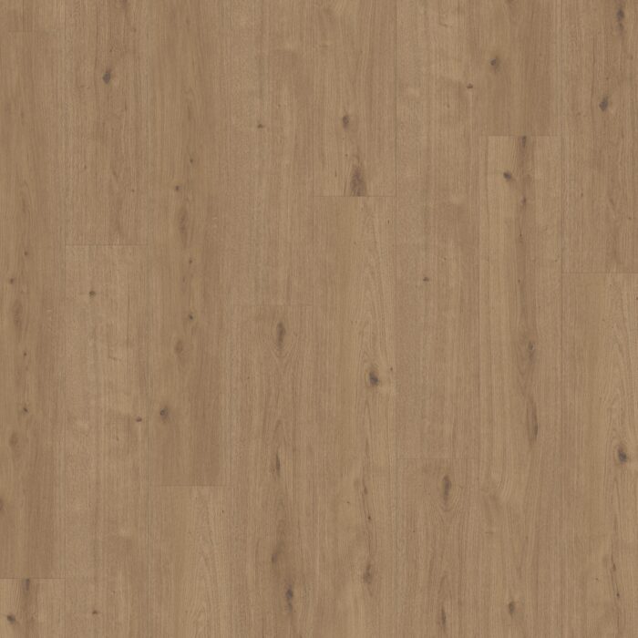 Parador Modular ONE Hydron Dub atmosphere umber authentic text. widepl microbev 1744840