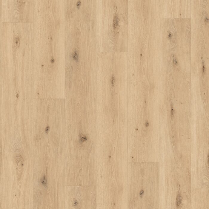 Parador SPC Trendtime 8 Dub Imperial Pure authentic text. widepl V-groove 1744826