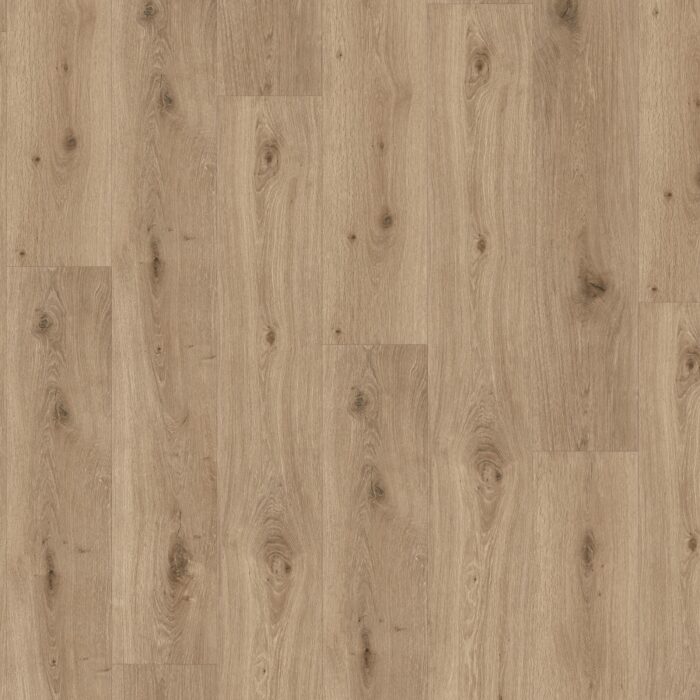 Parador SPC Trendtime 8 Dub Imperial Macchiato authentic text. widepl V-groove 1744827