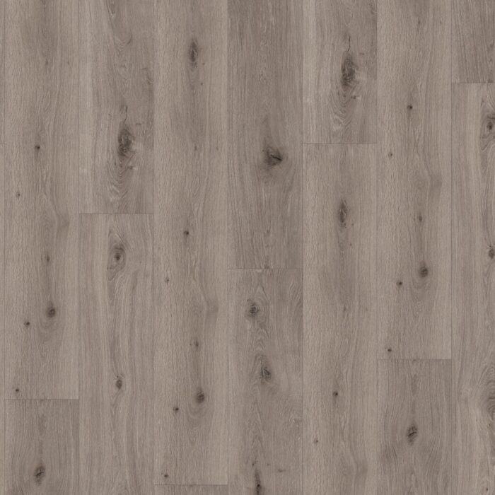 Parador SPC Trendtime 8 Dub Imperial lightgrey authentic text. widepl V-groove 1744828