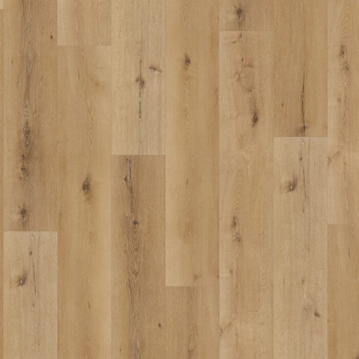 Parador SPC Trendtime 8 Dub Pacific natural Vintage texture widepl V-groove 1744831