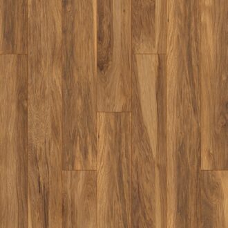 Atlantic 10 Hickory Appalachian 8155 VH 10 mm AC5/33 4V 1clic2go pure+