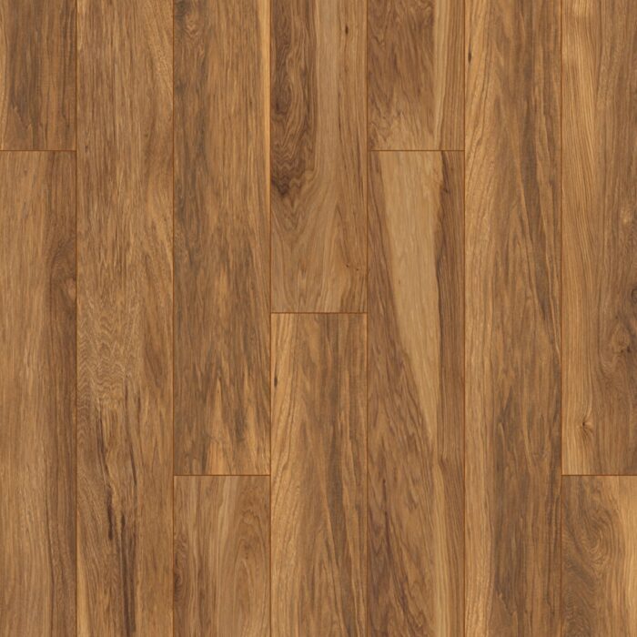 Atlantic 10 Hickory Appalachian 8155 VH 10 mm AC5/33 4V 1clic2go pure+