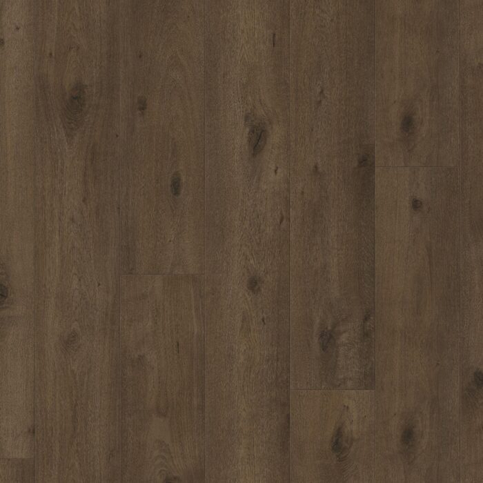 Laminate Flooring Trendtime 6 4V Oak Everglade antique Nat. mat.text. V-groove 1748792