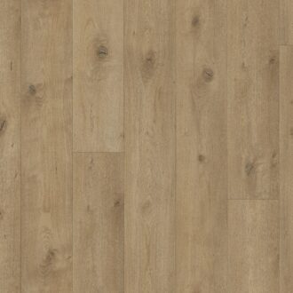 Laminate Flooring Trendtime 6 4V Oak Everglade natural Nat. mat.text. V-groove 1748791