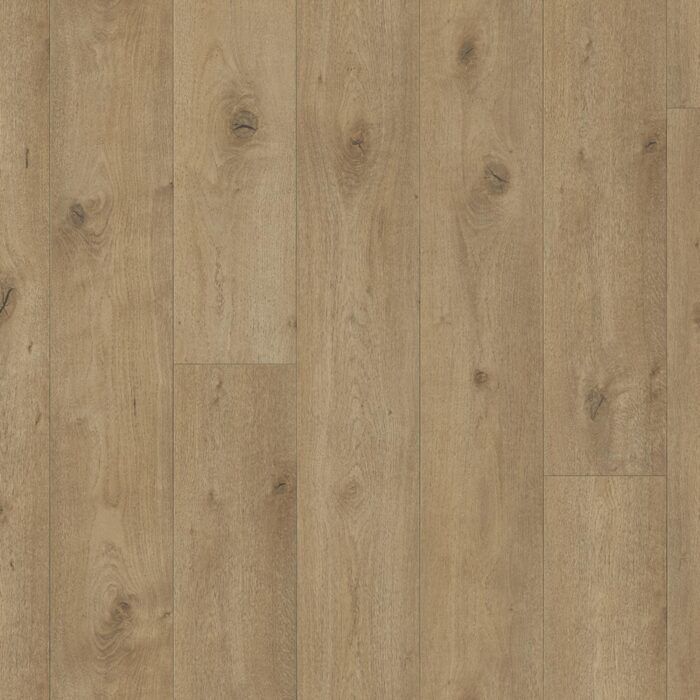 Laminate Flooring Trendtime 6 4V Oak Everglade natural Nat. mat.text. V-groove 1748791