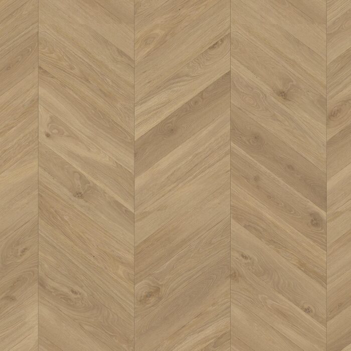 Trendtime 8 Chevron Oak Loire honey matt finish text. 1748769