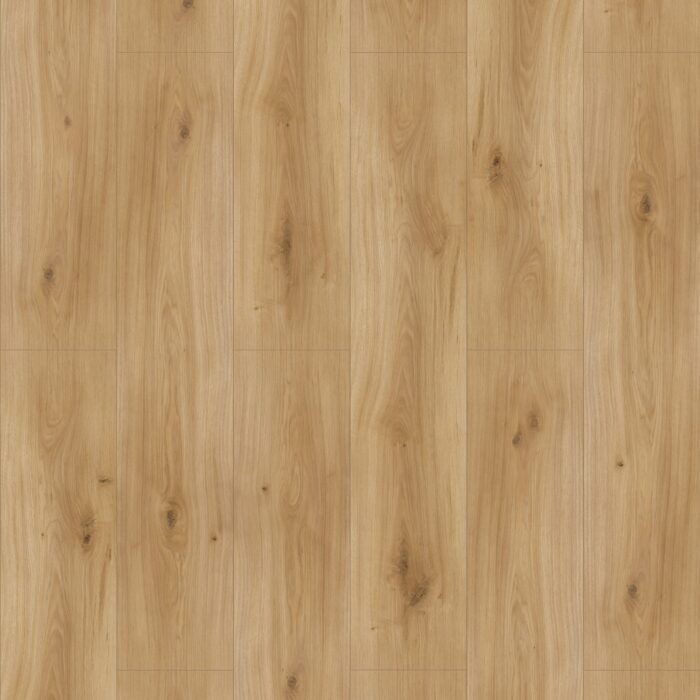Parador Basic 600 Dub Horizont natural matt finish tex widepl mircobev M4V 1593845
