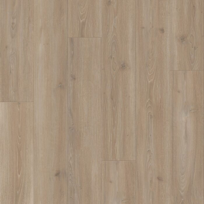 TrendTime 6 4V Oak Skyline pearl-grey Nat. mat.text. V-groove 1601103