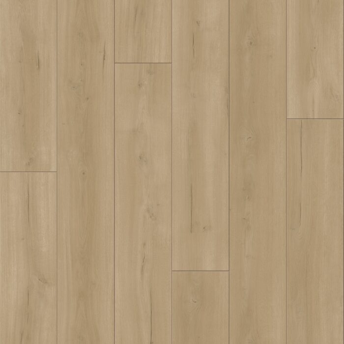 Trendtime 6 4V, Oak Loft natural vivid texture V-groove, 1730466