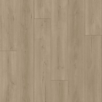 Trendtime 6 4V, Oak Loft grey vivid texture V-groove, 1730467