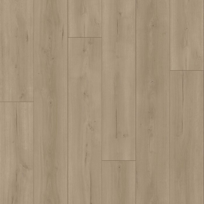 Trendtime 6 4V, Oak Loft grey vivid texture V-groove, 1730467