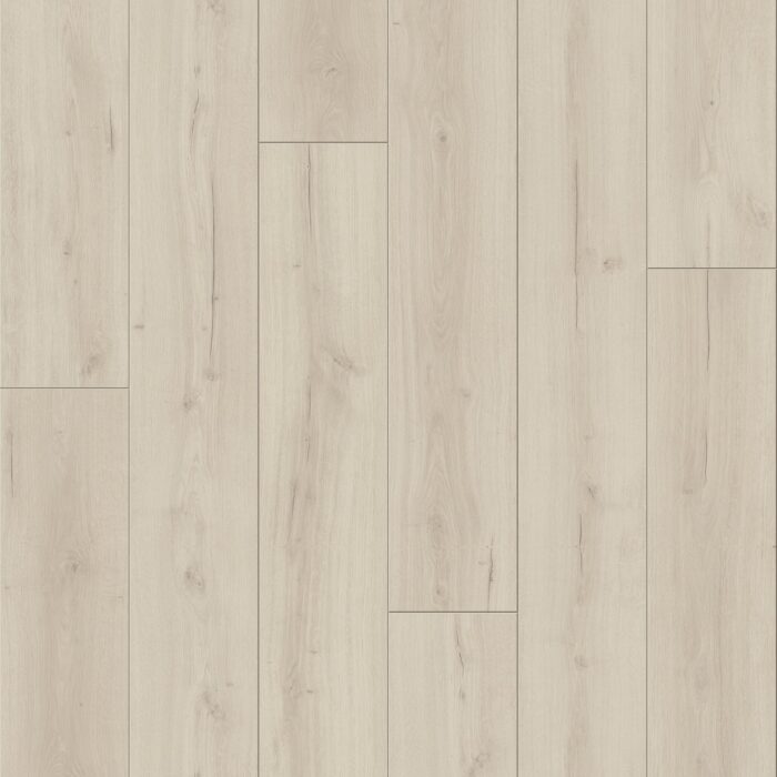Trendtime 6 4V, Oak Loft white vivid texture V-groove, 1730468