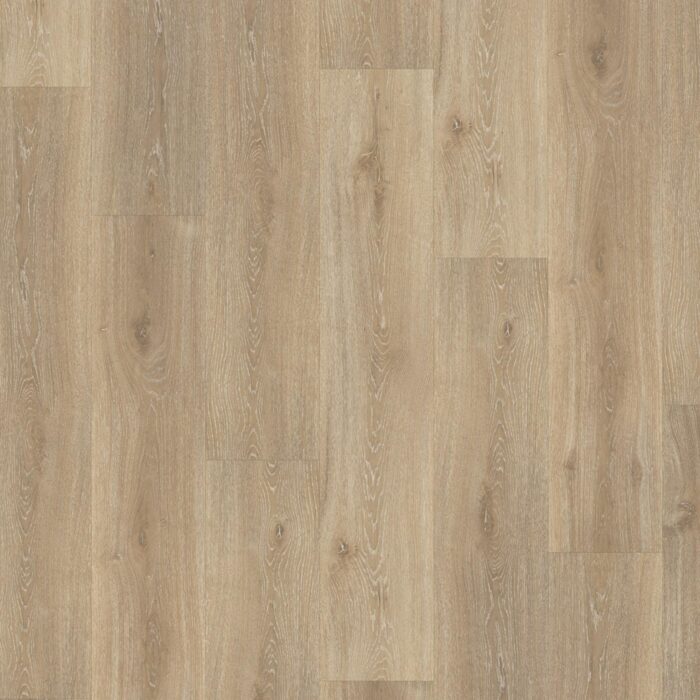 Vinyl Parador Classic 2025 Dub Royal light limed Brushed Texture wide plank 4V, 1748870