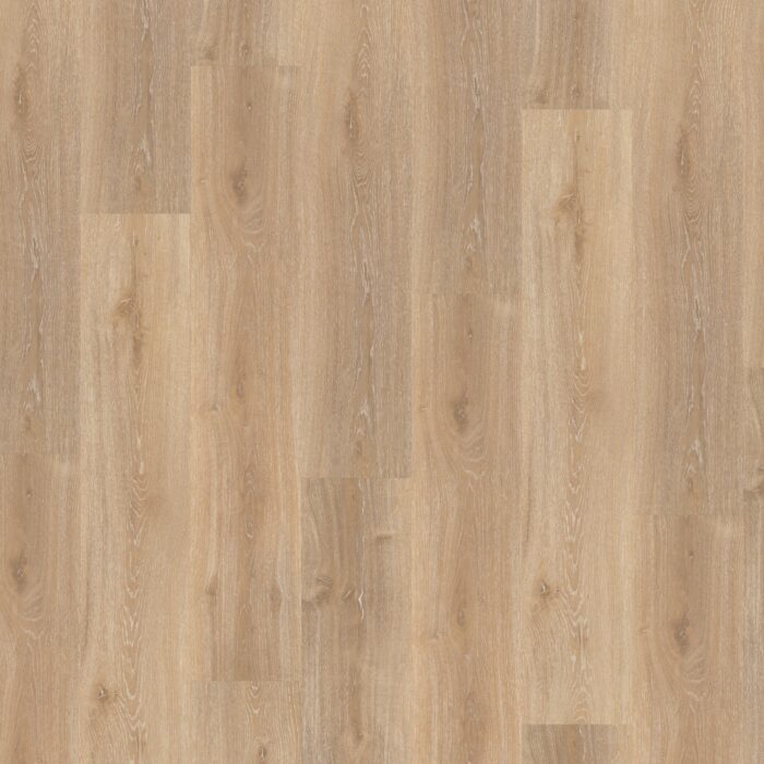 Vinyl Parador Basic 30 Oak Royal light-limed wood texture 1604831
