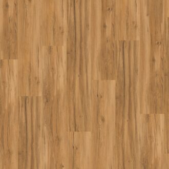 Vinyl Parador Basic 2.0 Dub Memory natural Brushed Texture wide plank, 1730796