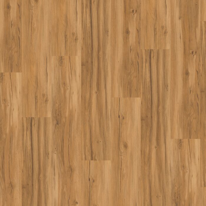 Vinyl Parador Basic 30 Dub Memory natural Brushed texture 1 wideplank 1649300