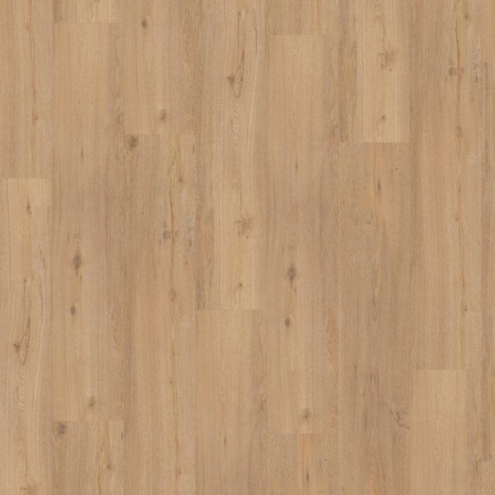 Vinyl Parador Classic 2030 Dub sanded štruktúra dreva 1442052