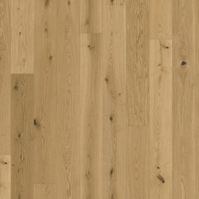 Engineered Wood Flooring Trendtime 4 Rustikal, Oak Lugana natural brushed text. naturaloil plus 1-strip widepl. microbev, 1748904 - Image 7