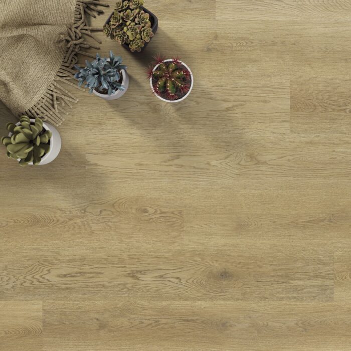 Afirmax BiClick Floor Dub Noble CBC 42432 4 mm 23/32 1-lamela - Image 4