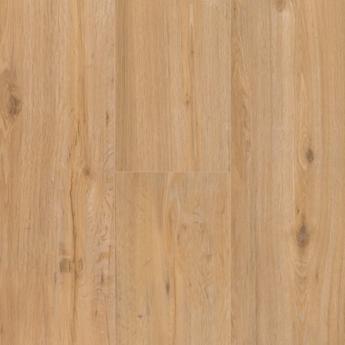 Vinyl Parador Classic 2030 Dub natural Brushed Texture widepl V-groove 1744614 - Image 6