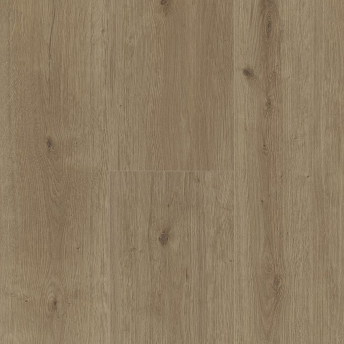 Parador Modular ONE Chateau plank Dub atmosphere umber authentic text. widepl microbev 1744557 - Image 5