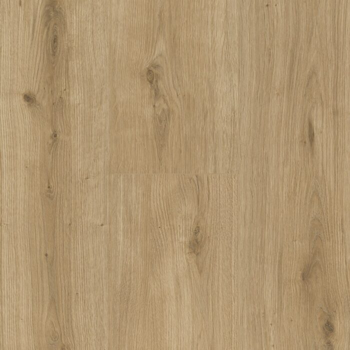 Parador Modular ONE Hydron Dub atmosphere natural authentic text. widepl microbev 1744839 - Image 5
