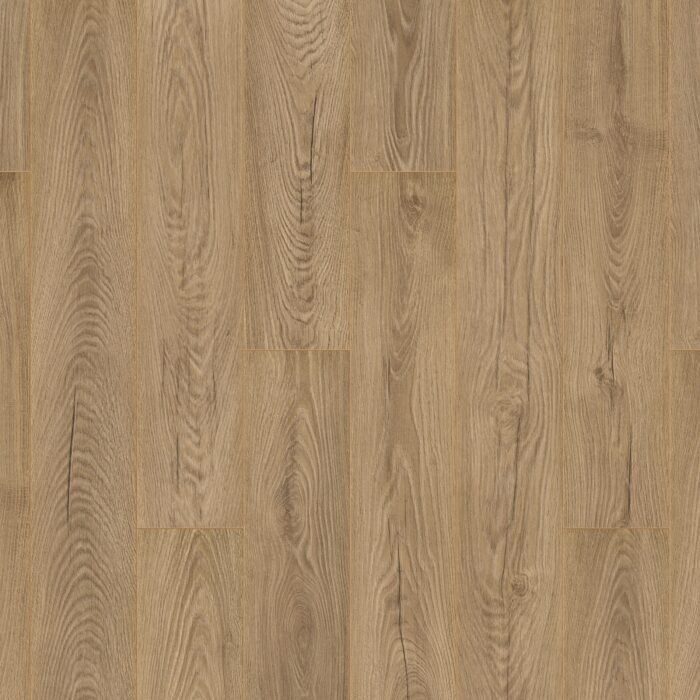 SolidStep Perform Dub Ruen ST107 CM 8 mm AC5/33 4V 1-lamela 1clic2go pure+ - Image 2