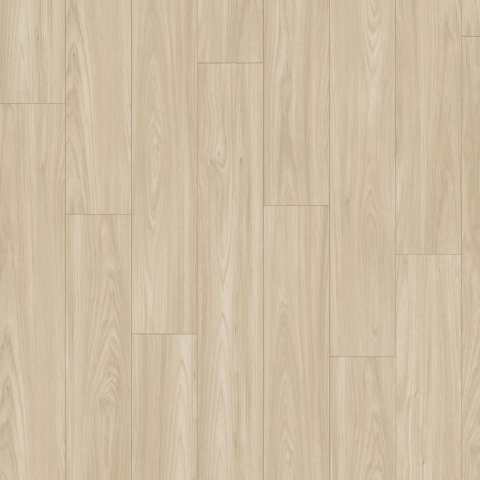 EGGER NatureSense 8/33 Classic Akácia Sheffield svetlá SOL2525 D 8 mm AC5/33 4V 1-lamela CLIC it! (Art. 593054)