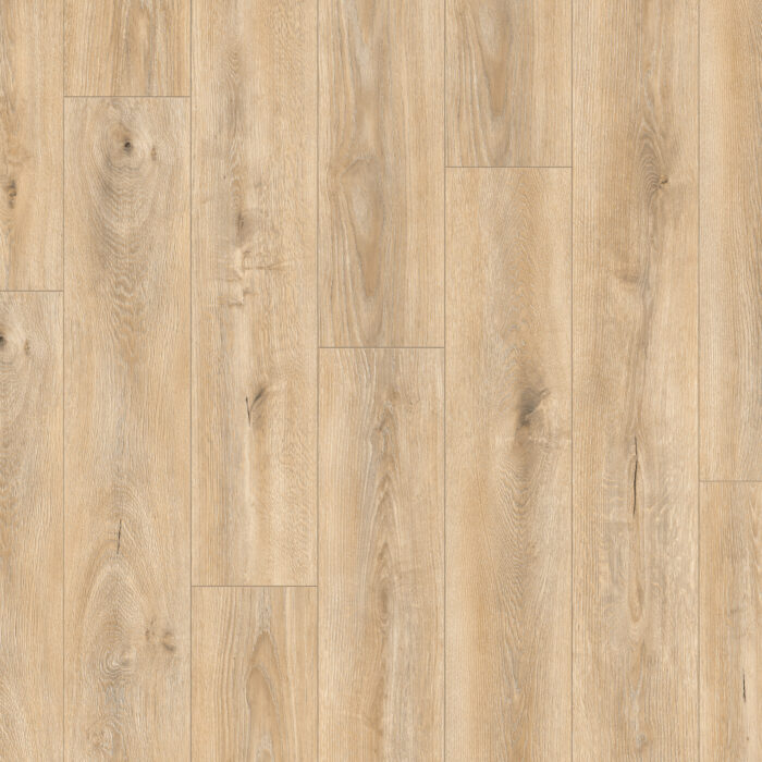 Atlantic 8 Dub Tortilla Cashmere K469 NL 8 mm AC4/32 4V 1clic2go pure+ - Image 2