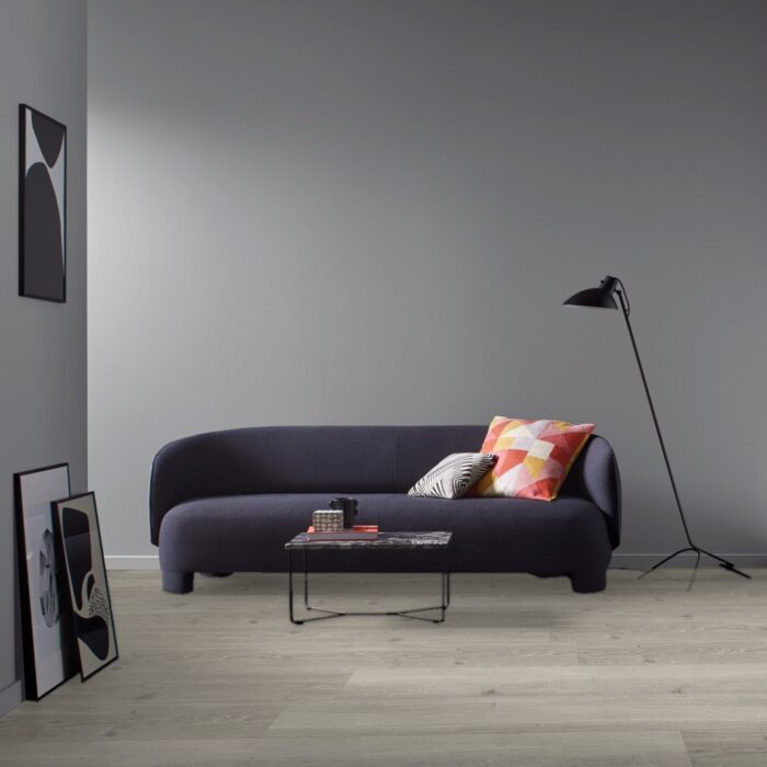 Laminate Flooring Trendtime 6 Dub Studioline šedý svetlý prírodne matná štruktúra 4V 1744707 - Image 6