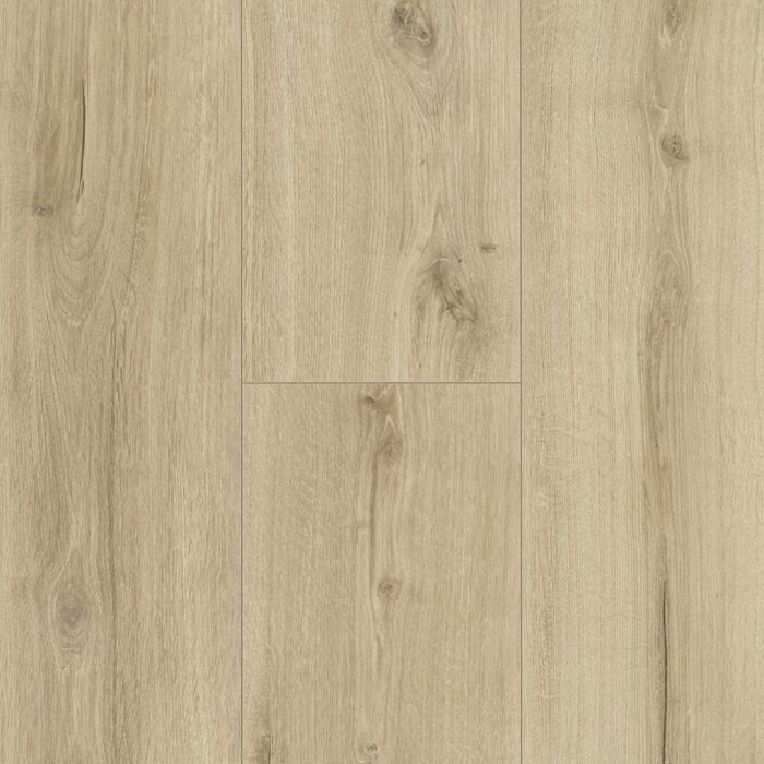 Laminate Flooring Trendtime 6 Dub Loft Pure živá štruktúra 4V 1744709 - Image 5