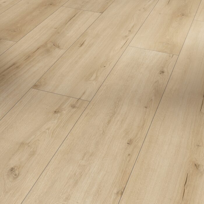 Laminate Flooring Trendtime 6 Dub Loft Pure živá štruktúra 4V 1744709 - Image 4