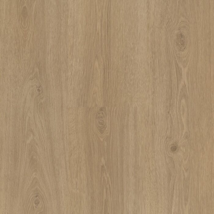 Vinyl Parador Classic 2030 Dub Studioline natural wood texture 1601385 - Image 5