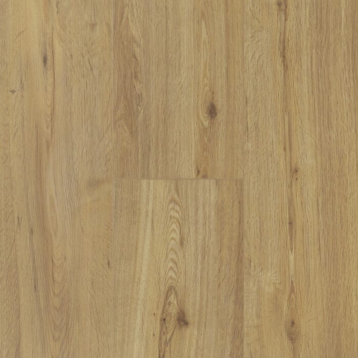 Design flooring Vinyl Trendtime 6 Dub prírodný kartáčovaná štruktúra široká lamela V-drážka 1744637 - Image 5