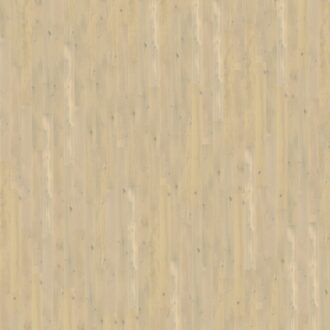 Quick-step cascada casc3854 dub lesný zimný