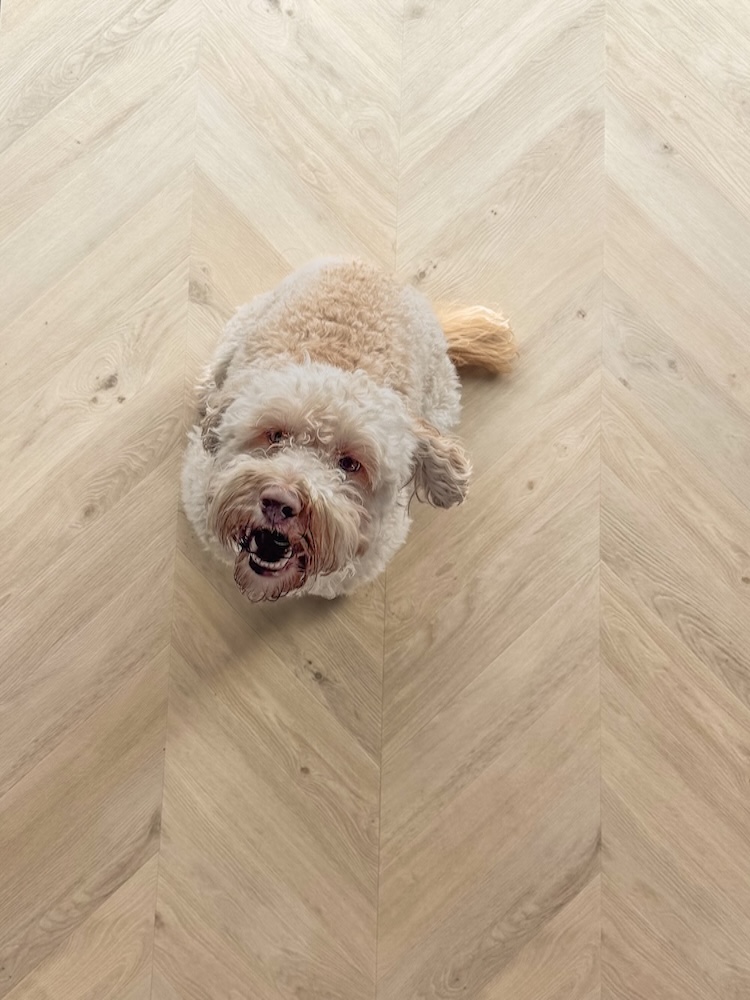 Floorify chevron f700 maurice Floorify chevron f700 maurice - Image 2