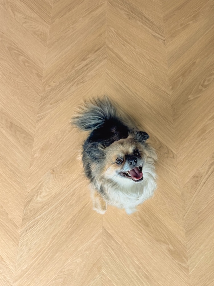 Floorify chevron f701 rocky Floorify chevron f701 rocky - Image 3