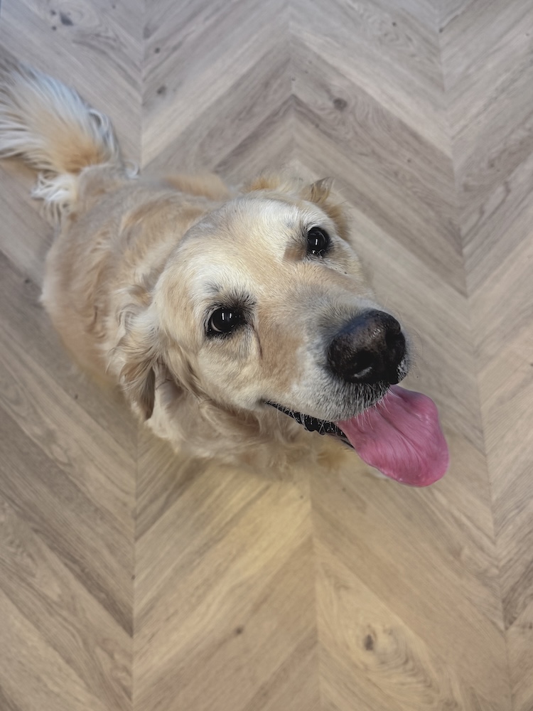 Floorify chevron f717 odette Floorify chevron f717 odette - Image 3