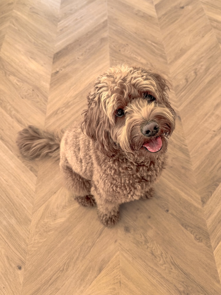 Floorify chevron f719 frieda Floorify chevron f719 frieda - Image 2